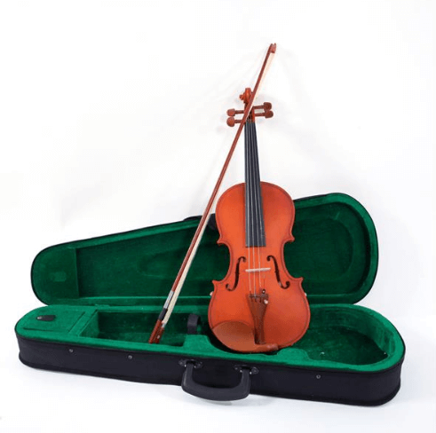Most Popular Items on eBay-Violin